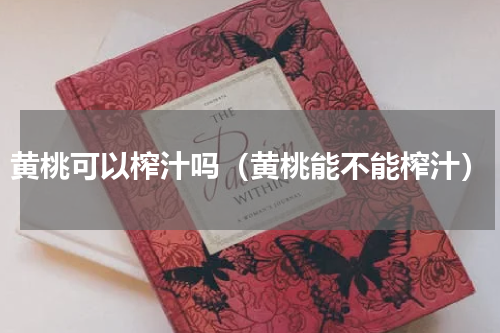 黄桃可以榨汁吗（黄桃能不能榨汁）