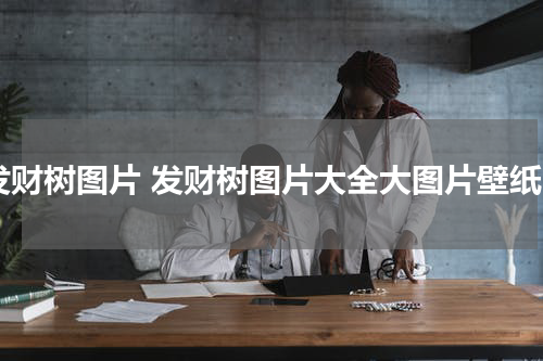 发财树图片 发财树图片大全大图片壁纸