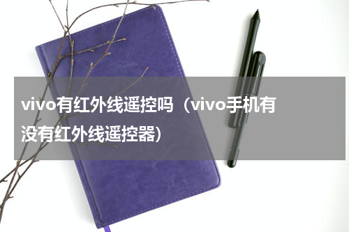 vivo有红外线遥控吗（vivo手机有没有红外线遥控器）