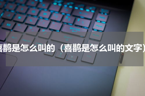 喜鹊是怎么叫的（喜鹊是怎么叫的文字）