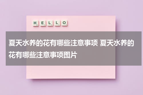 夏天水养的花有哪些注意事项 夏天水养的花有哪些注意事项图片