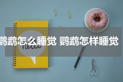 鹦鹉怎么睡觉 鹦鹉怎样睡觉