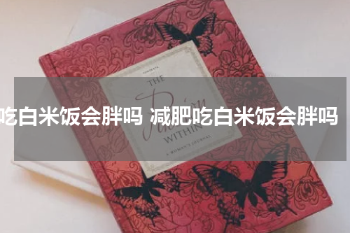 吃白米饭会胖吗 减肥吃白米饭会胖吗