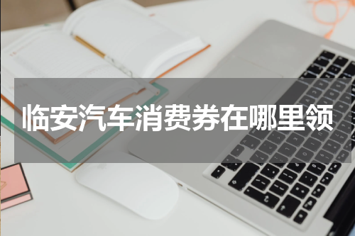 临安汽车消费券在哪里领