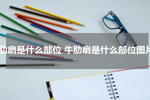 牛肋扇是什么部位 牛肋扇是什么部位图片