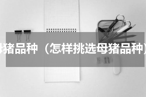 母猪品种（怎样挑选母猪品种）