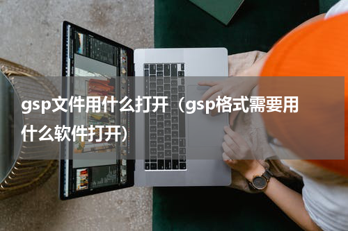 gsp文件用什么打开（gsp格式需要用什么软件打开）