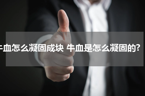 牛血怎么凝固成块 牛血是怎么凝固的?