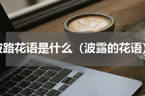 波路花语是什么（波露的花语）