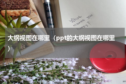 大纲视图在哪里（ppt的大纲视图在哪里）