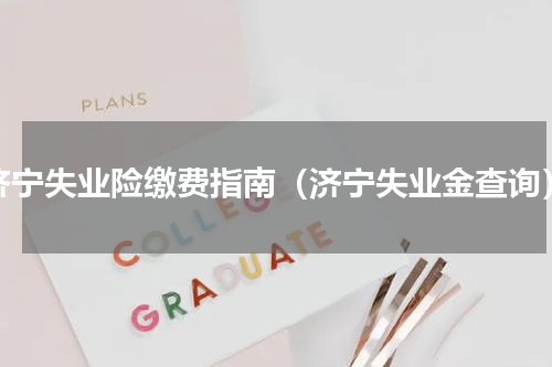 济宁失业险缴费指南（济宁失业金查询）