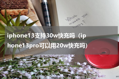 iphone13支持30w快充吗（iphone13pro可以用20w快充吗）