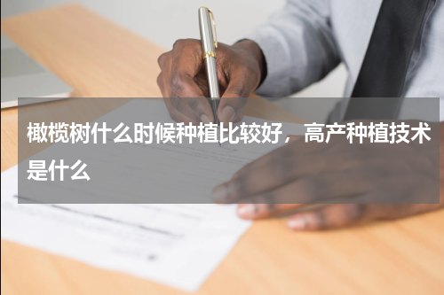 橄榄树什么时候种植比较好，高产种植技术是什么