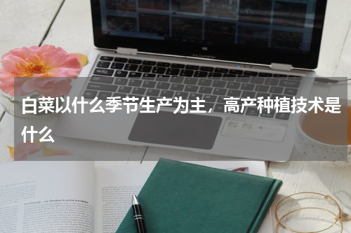 白菜以什么季节生产为主，高产种植技术是什么