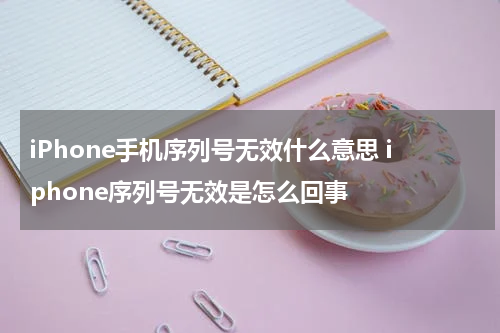 iPhone手机序列号无效什么意思 iphone序列号无效是怎么回事