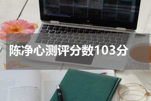 陈净心测评分数103分