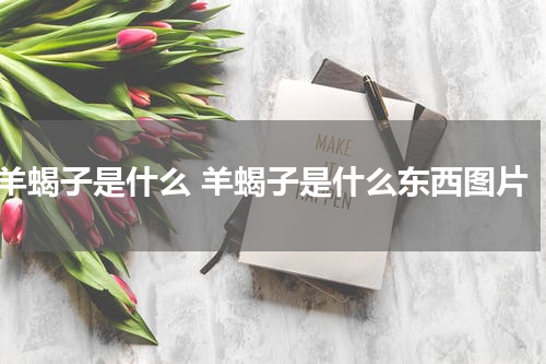 羊蝎子是什么 羊蝎子是什么东西图片