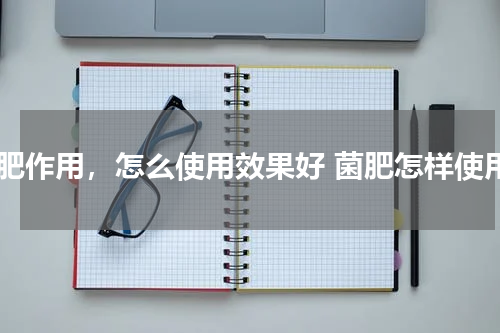 菌肥作用，怎么使用效果好 菌肥怎样使用