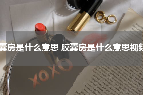 胶囊房是什么意思 胶囊房是什么意思视频