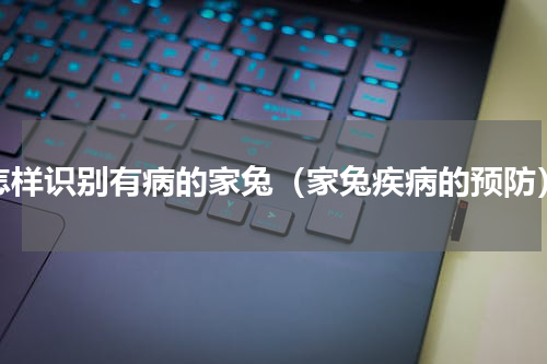 怎样识别有病的家兔（家兔疾病的预防）