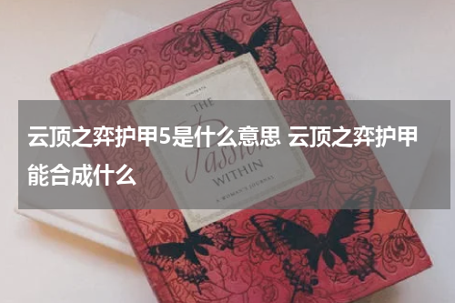 云顶之弈护甲5是什么意思 云顶之弈护甲能合成什么