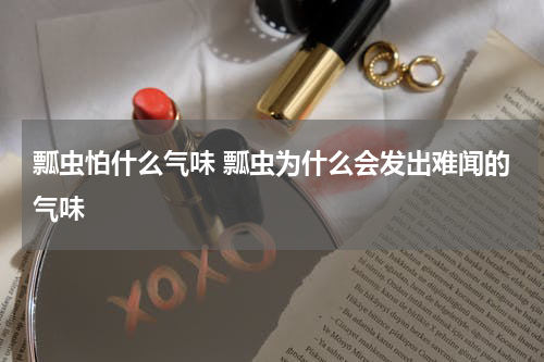 瓢虫怕什么气味 瓢虫为什么会发出难闻的气味