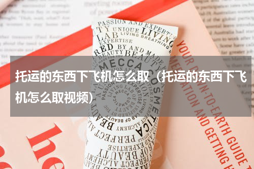 托运的东西下飞机怎么取（托运的东西下飞机怎么取视频）