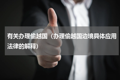 有关办理偷越国（办理偷越国边境具体应用法律的解释）