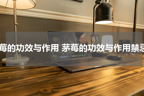 茅莓的功效与作用 茅莓的功效与作用禁忌