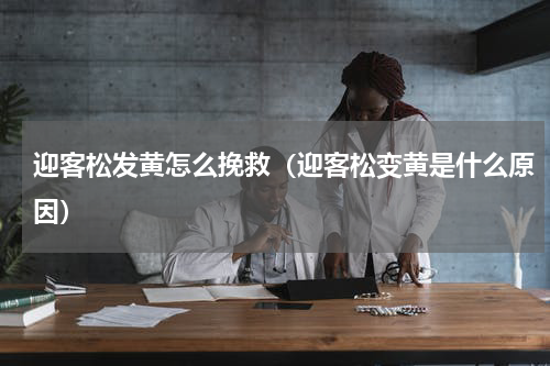 迎客松发黄怎么挽救（迎客松变黄是什么原因）