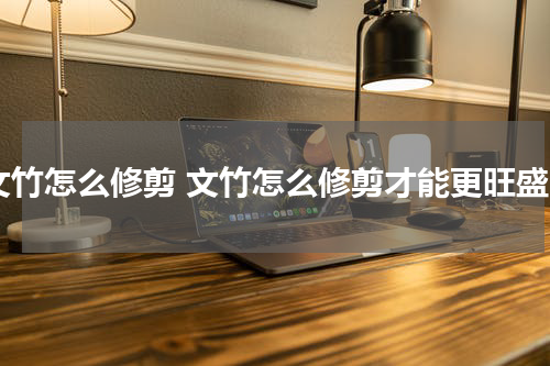 文竹怎么修剪 文竹怎么修剪才能更旺盛