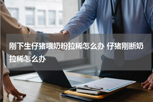 刚下生仔猪喂奶粉拉稀怎么办 仔猪刚断奶拉稀怎么办