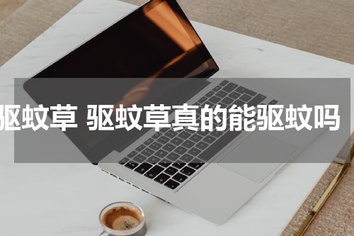 驱蚊草 驱蚊草真的能驱蚊吗