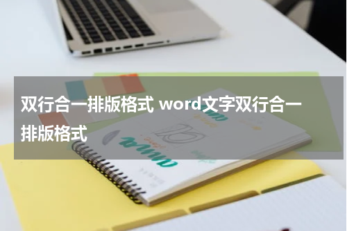 双行合一排版格式 word文字双行合一排版格式