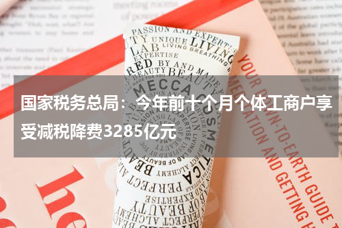 国家税务总局：今年前十个月个体工商户享受减税降费3285亿元