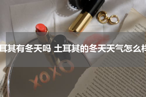 土耳其有冬天吗 土耳其的冬天天气怎么样