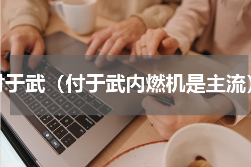 付于武（付于武内燃机是主流）