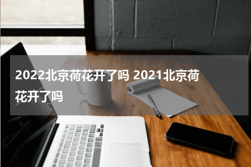 2022北京荷花开了吗 2021北京荷花开了吗