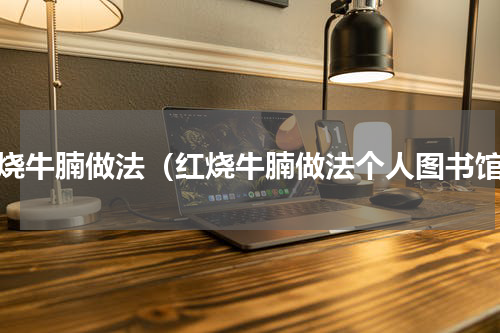 红烧牛腩做法（红烧牛腩做法个人图书馆）