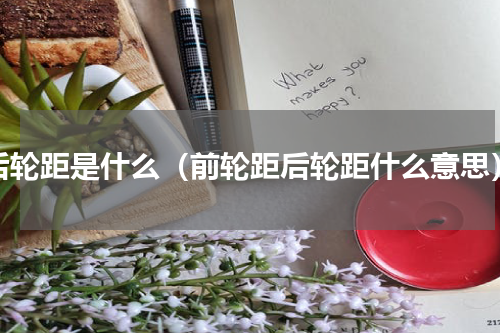 后轮距是什么（前轮距后轮距什么意思）