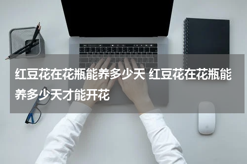 红豆花在花瓶能养多少天 红豆花在花瓶能养多少天才能开花