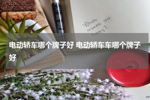 电动轿车哪个牌子好 电动轿车车哪个牌子好