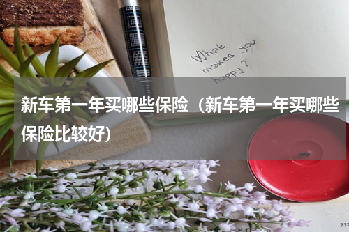 新车第一年买哪些保险（新车第一年买哪些保险比较好）