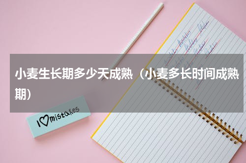 小麦生长期多少天成熟（小麦多长时间成熟期）