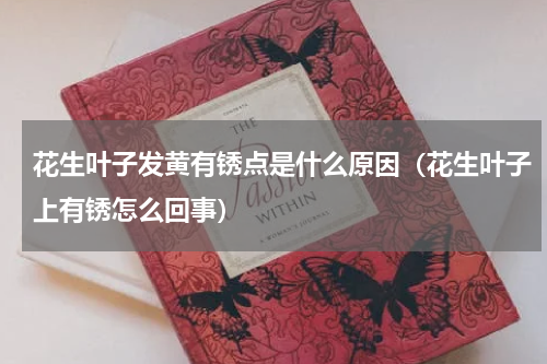 花生叶子发黄有锈点是什么原因（花生叶子上有锈怎么回事）