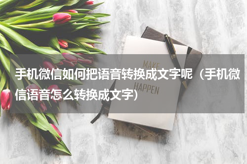 手机微信如何把语音转换成文字呢（手机微信语音怎么转换成文字）