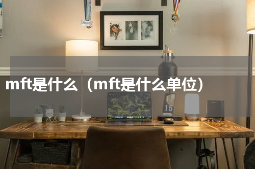 mft是什么（mft是什么单位）