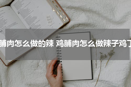鸡脯肉怎么做的辣 鸡脯肉怎么做辣子鸡丁