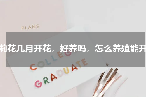茉莉花几月开花，好养吗，怎么养殖能开花