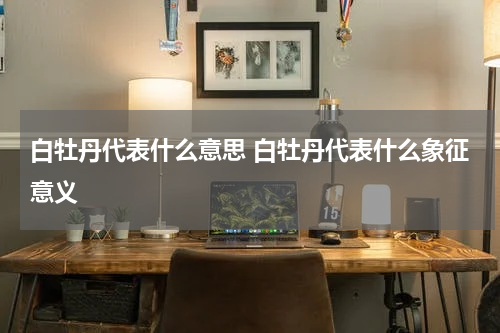 白牡丹代表什么意思 白牡丹代表什么象征意义